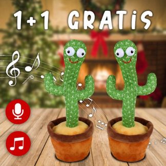 Plesoči kaktus Dancy 1+1 GRATIS