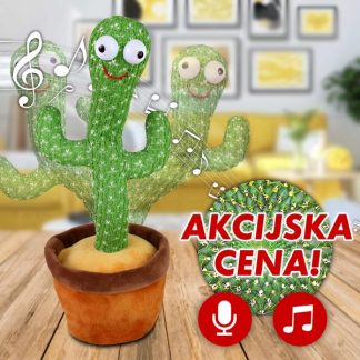 Plesoči kaktus Dancy