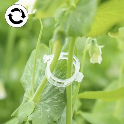 60x Podpora za rastline - GreenGrow